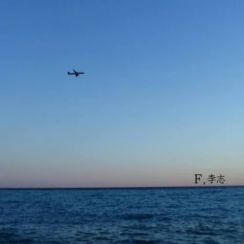 F 专辑封面